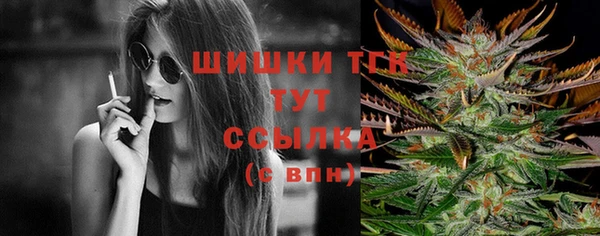 стафф Новокубанск