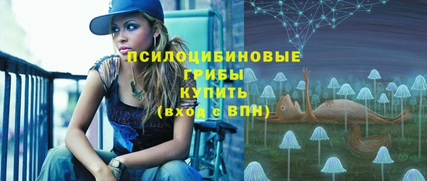jwh Белокуриха