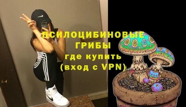 jwh Белокуриха