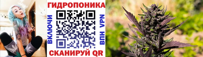 MEGA Сковородино Шишки марихуана MAZAR
